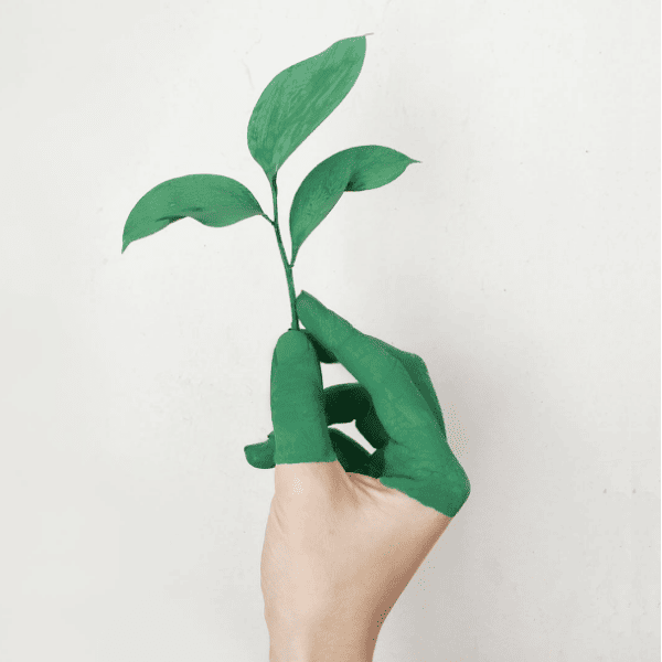 The right hand, painted in green, grasping a branch adorned with leaves